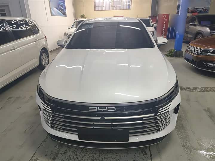 Фото 3 - BYD Destroyer 05