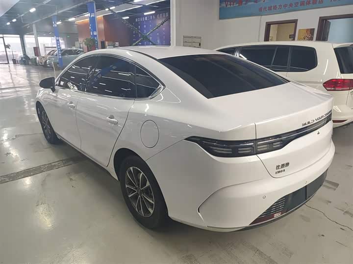 Фото 5 - BYD Destroyer 05