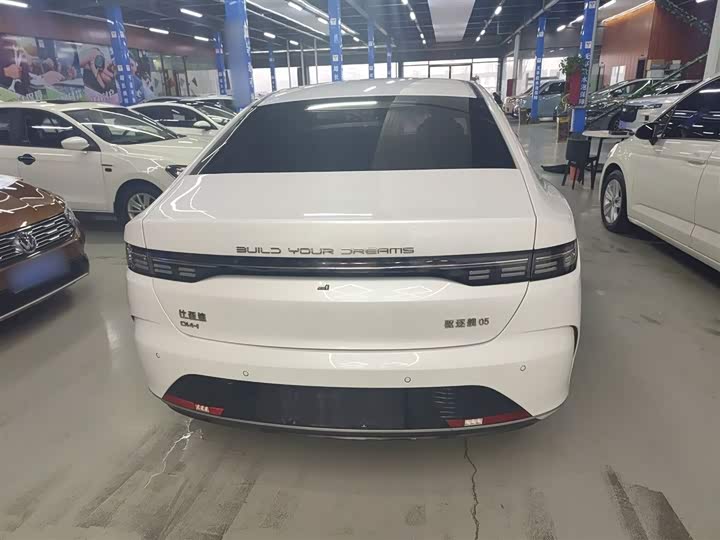 Фото 6 - BYD Destroyer 05