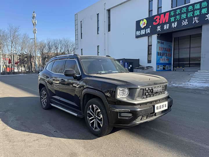 Фото 3 - Haval H-Dog