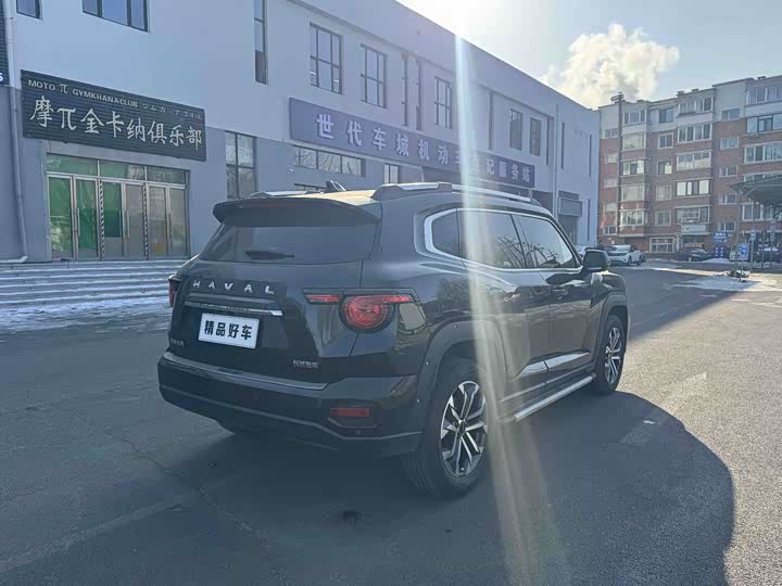 Фото 5 - Haval H-Dog