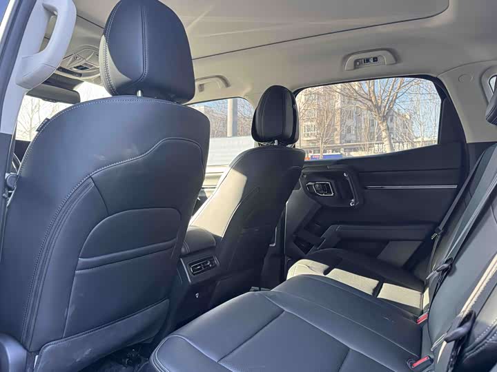 Фото 9 - Haval H-Dog