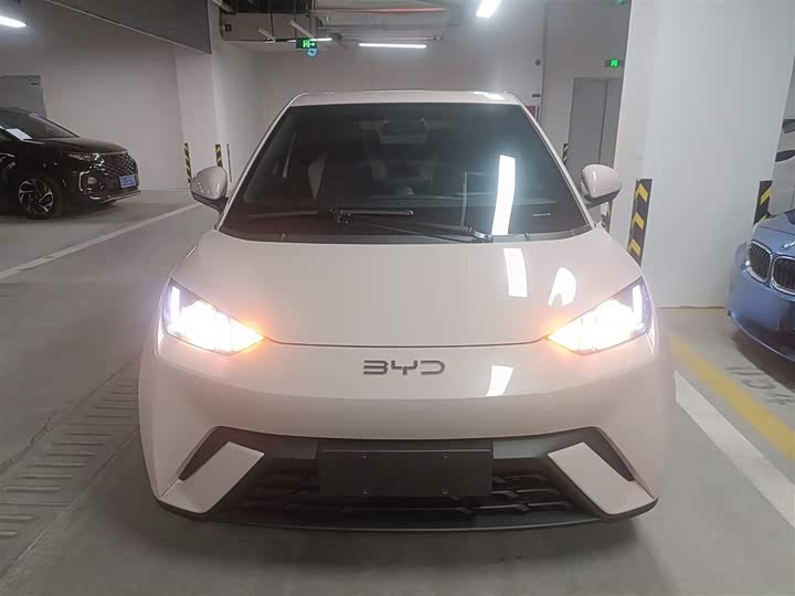 Фото 3 - BYD Seagull