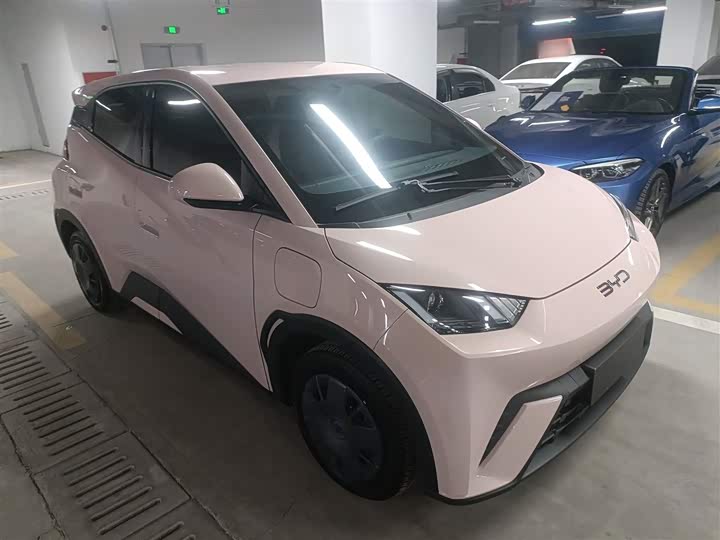 Фото 4 - BYD Seagull