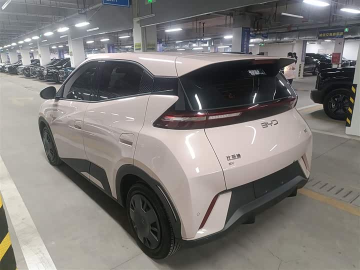 Фото 5 - BYD Seagull