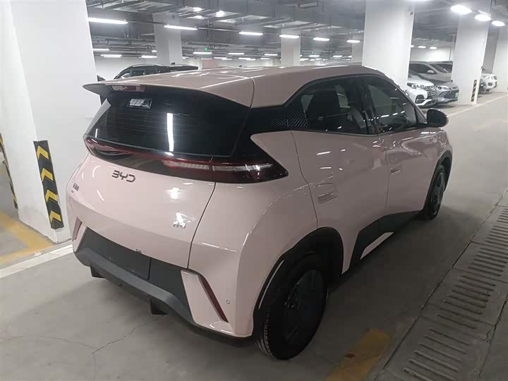 Фото 7 - BYD Seagull