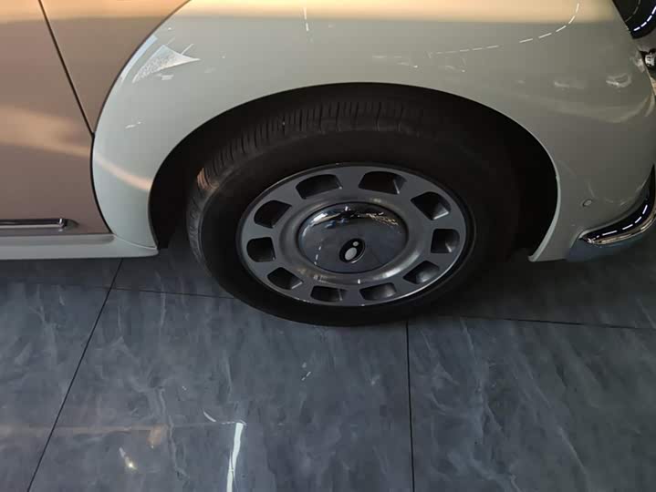 Фото 6 - Ora Ballet Cat