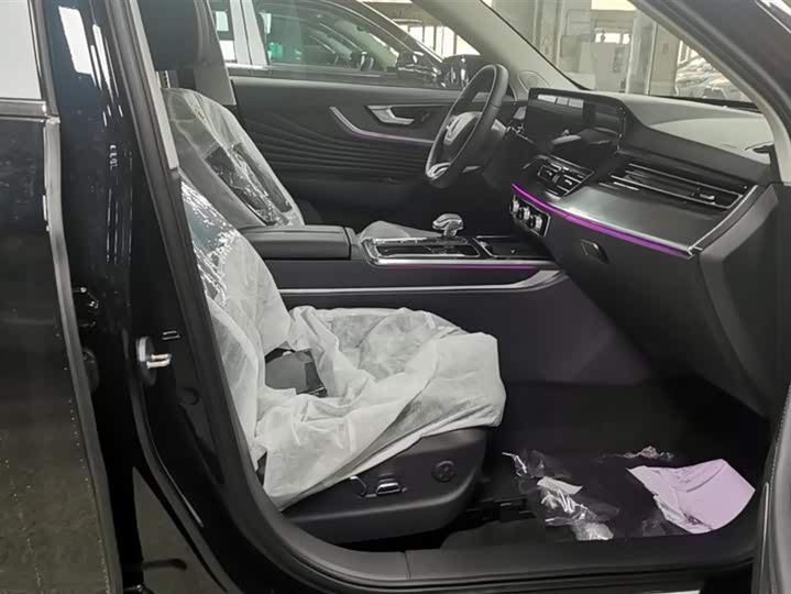 Фото 8 - Hongqi HS5