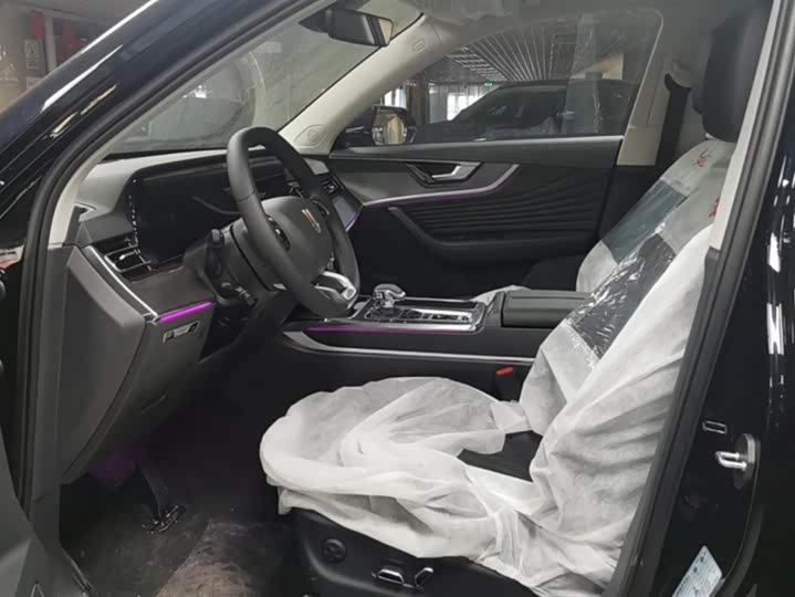 Фото 9 - Hongqi HS5