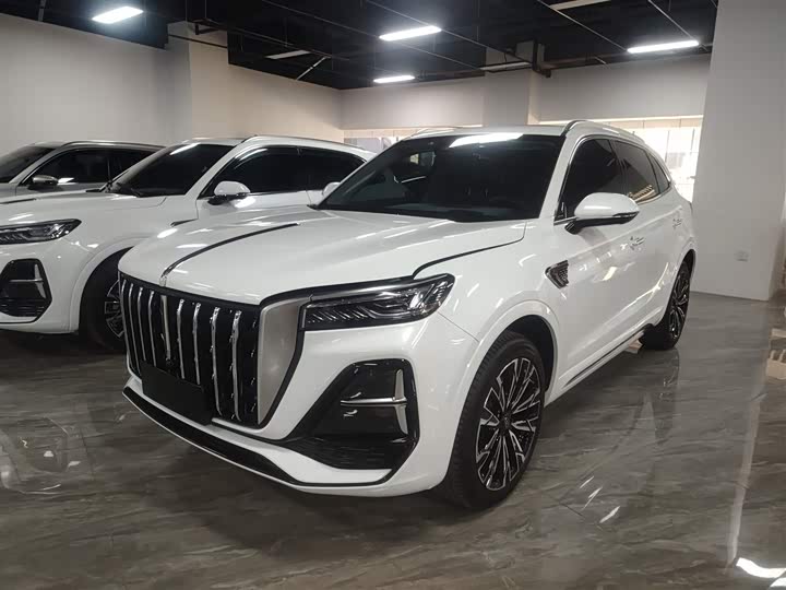 Фото 2 - Hongqi HS5