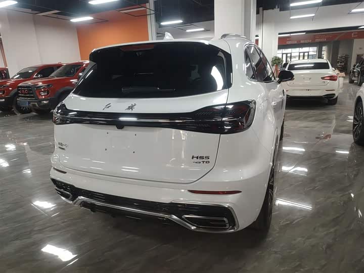 Фото 7 - Hongqi HS5