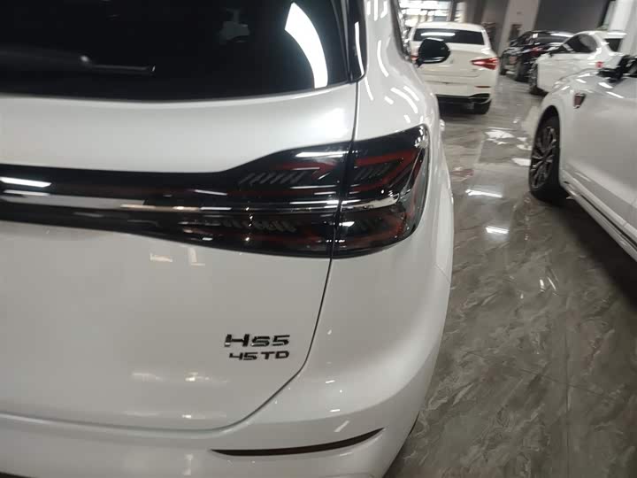 Фото 8 - Hongqi HS5