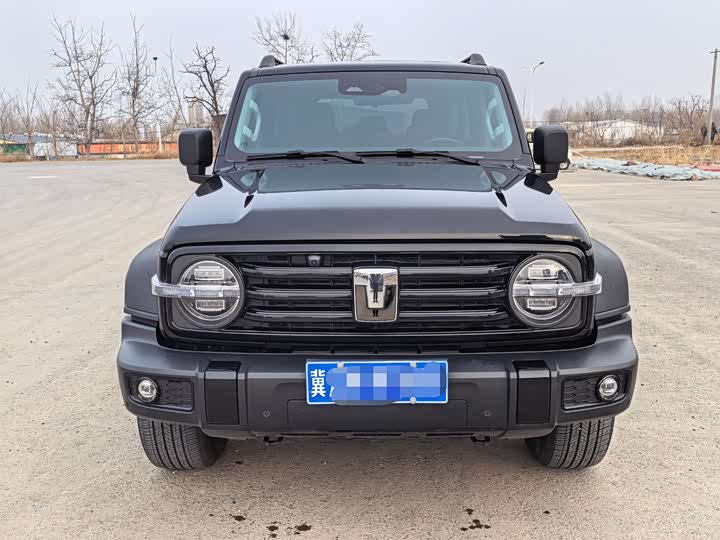 Фото 2 - Tank 300