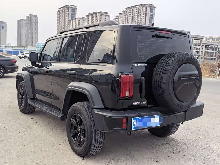 Фото 5 - Tank 300