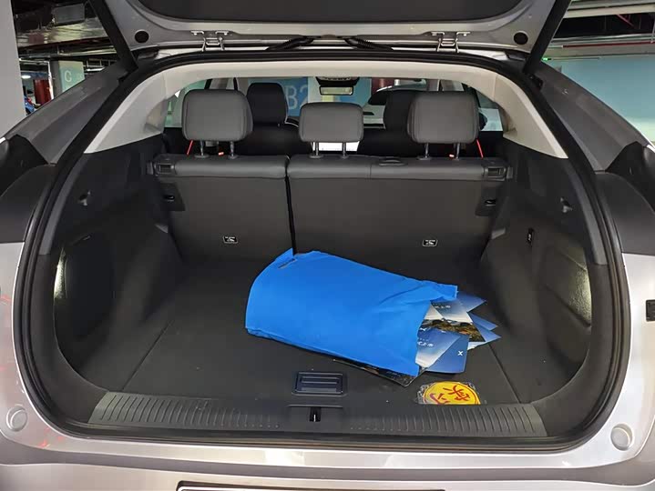 Фото 4 - XPeng G6