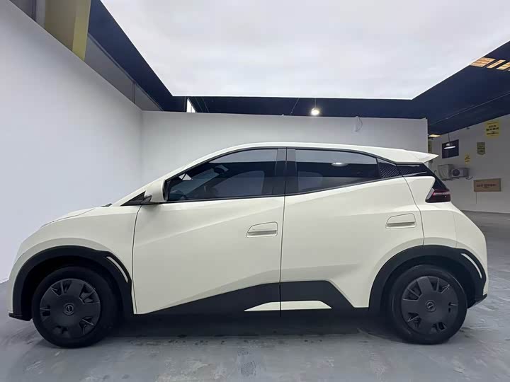 Фото 3 - BYD Seagull