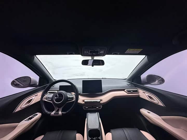 Фото 4 - BYD Seagull