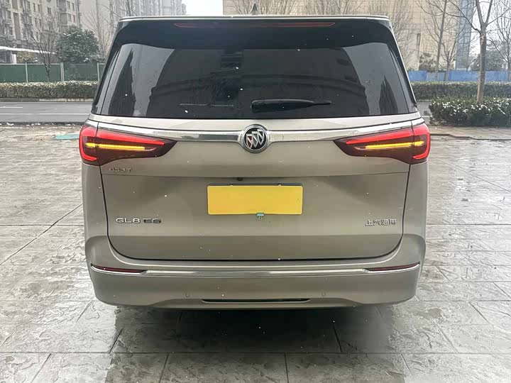 Фото 9 - Buick GL8 ES