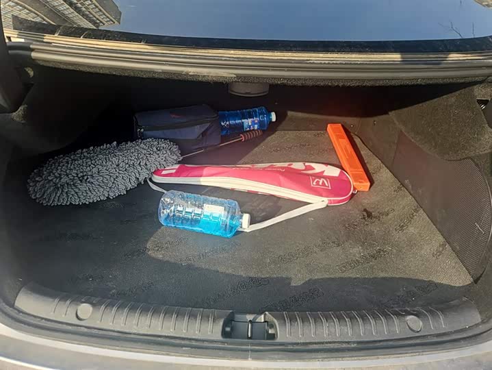 Фото 4 - BYD Han