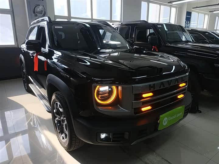 Фото 4 - Haval Dargo