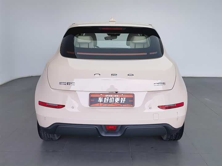 Фото 4 - Ora Good Cat (03)