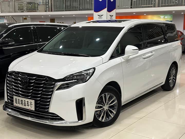 Фото 1 - Buick GL8 ES