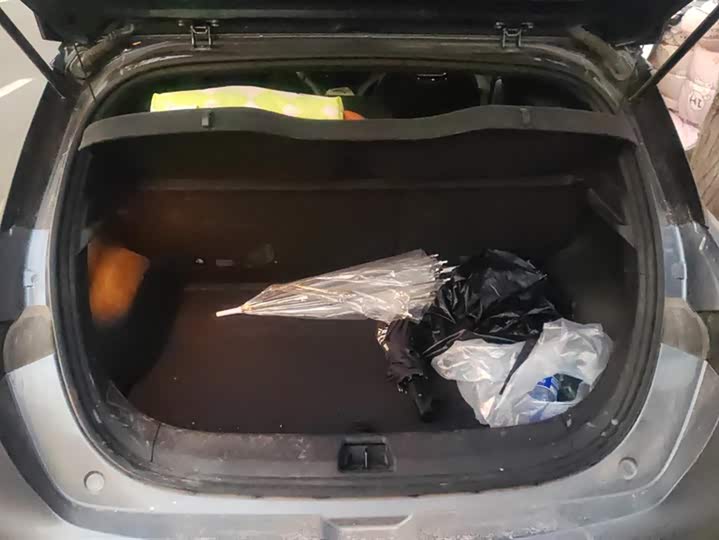 Фото 4 - BYD Dolphin