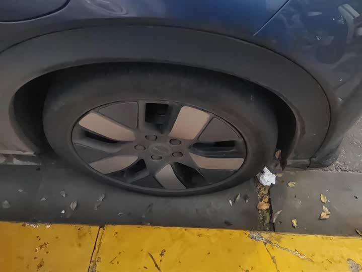 Фото 6 - BYD Dolphin