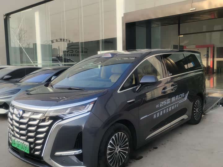 Фото 1 - Denza D9