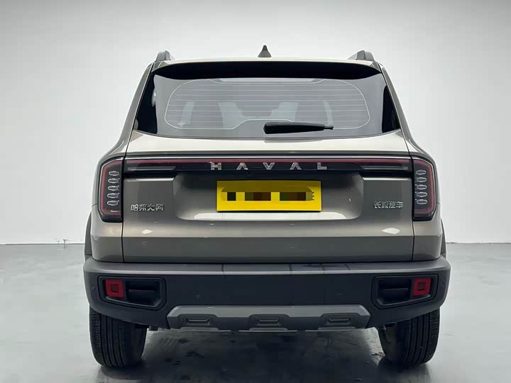 Фото 7 - Haval Dargo