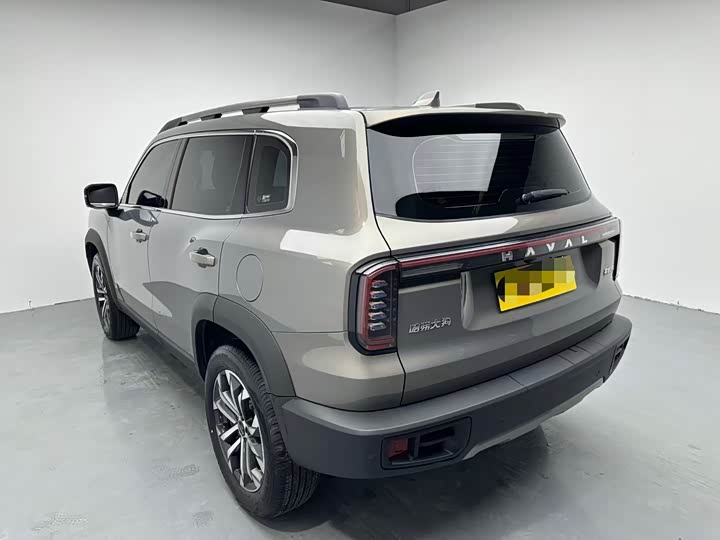 Фото 8 - Haval Dargo