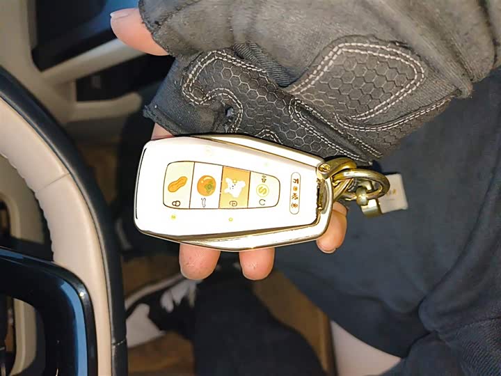 Фото 9 - Geely Icon