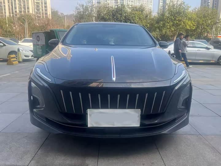 Фото 2 - Hongqi E-QM5