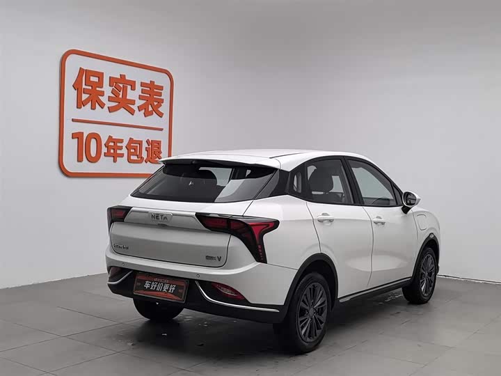 Фото 2 - Hozon V