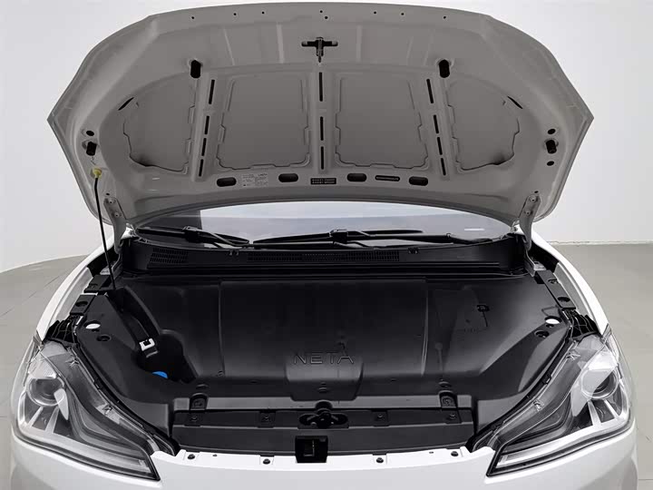 Фото 6 - Hozon V