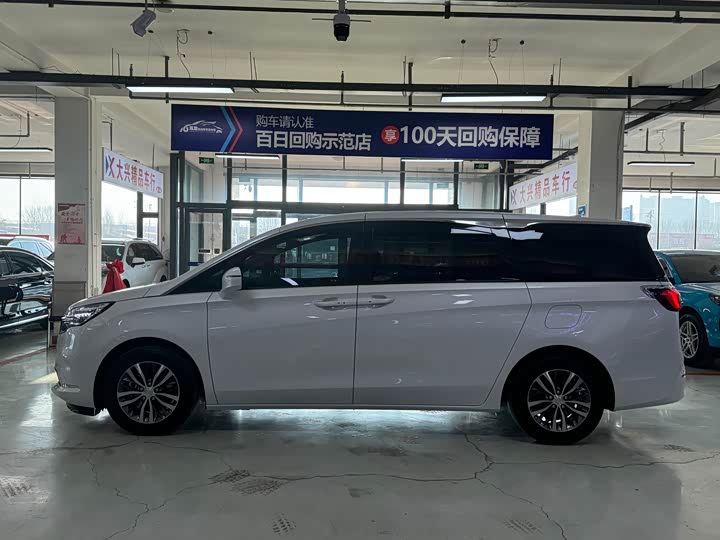 Фото 4 - Buick GL8 ES