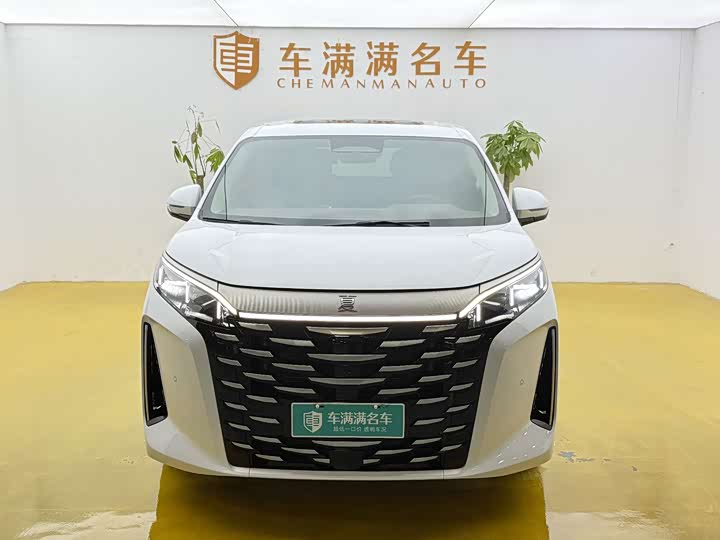 Фото 2 - BYD Xia