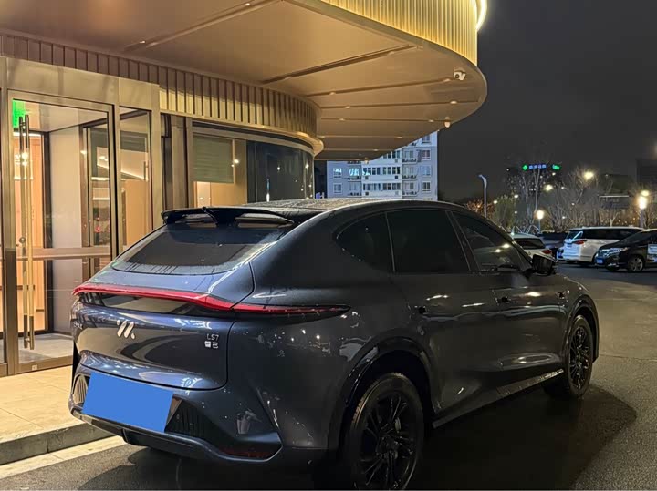 Фото 4 - IM motors LS7