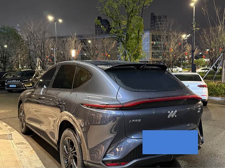 Фото 5 - IM motors LS7