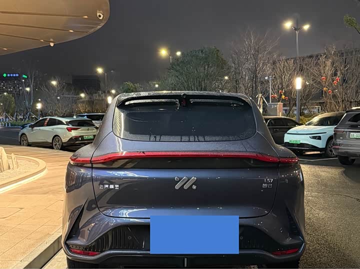 Фото 6 - IM motors LS7