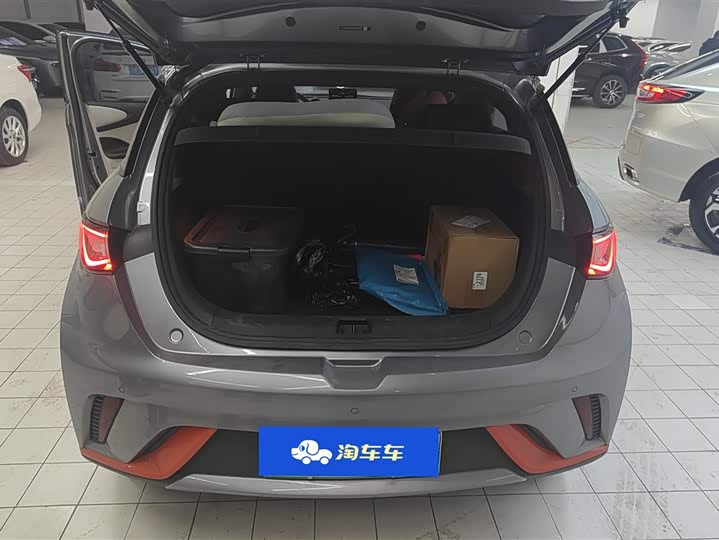 Фото 4 - BYD Dolphin