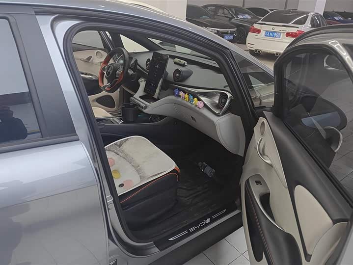 Фото 8 - BYD Dolphin