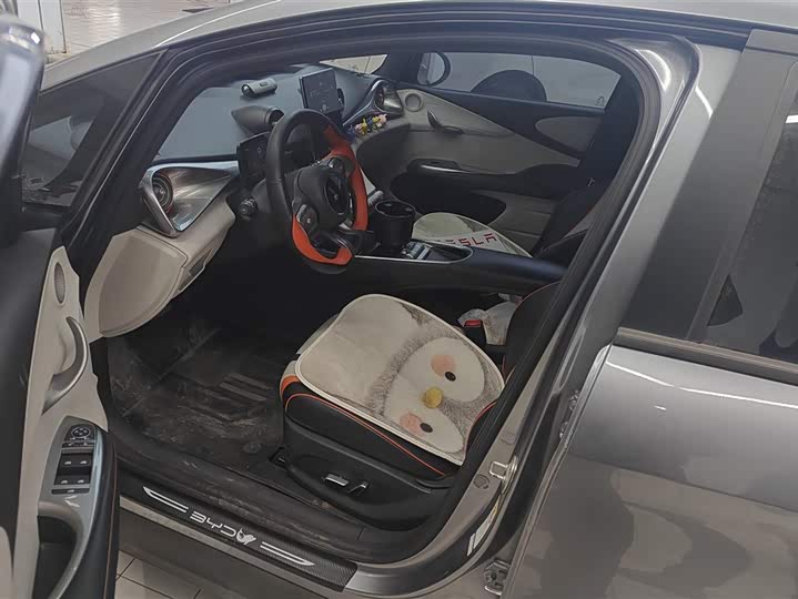 Фото 9 - BYD Dolphin