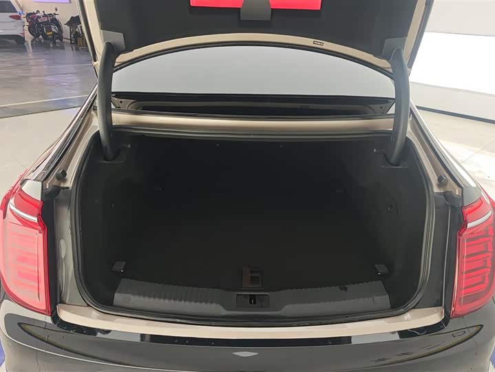 Фото 4 - Hongqi H9