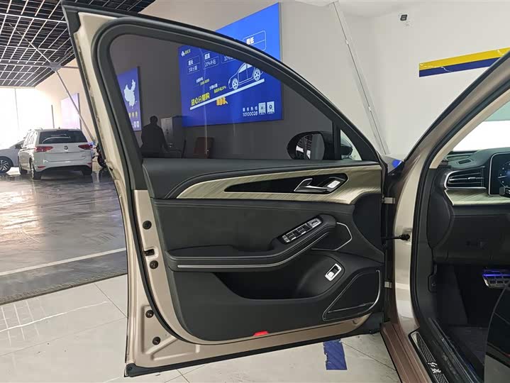 Фото 7 - Hongqi H9