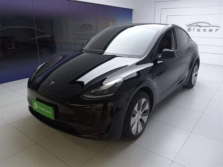 Фото 1 - Tesla Model Y