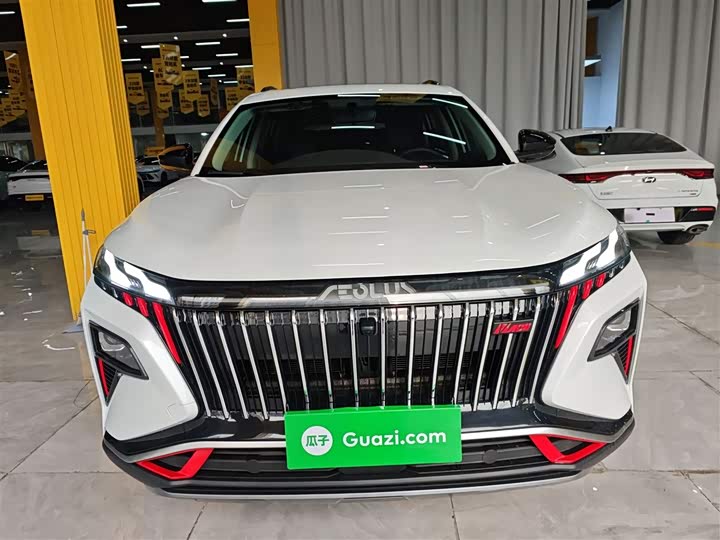 Фото 3 - Dongfeng Aeolus Haoji