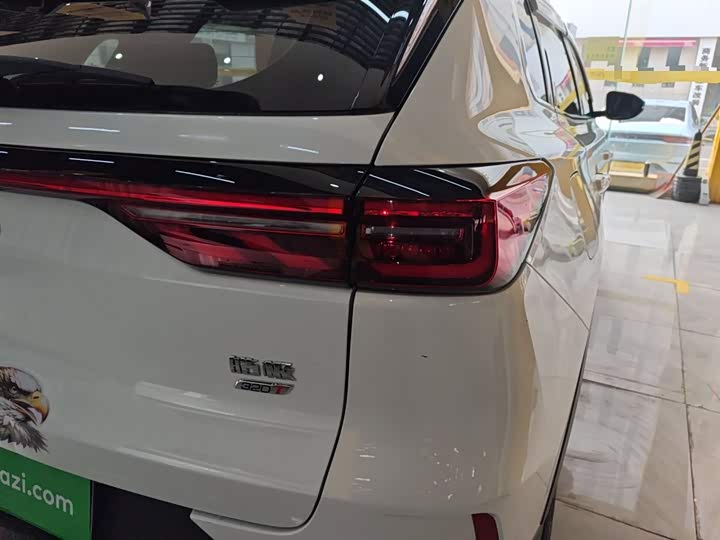 Фото 8 - Dongfeng Aeolus Haoji