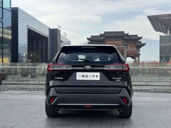 Фото 8 - Toyota Wildlander