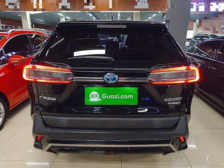 Фото 6 - Toyota Wildlander